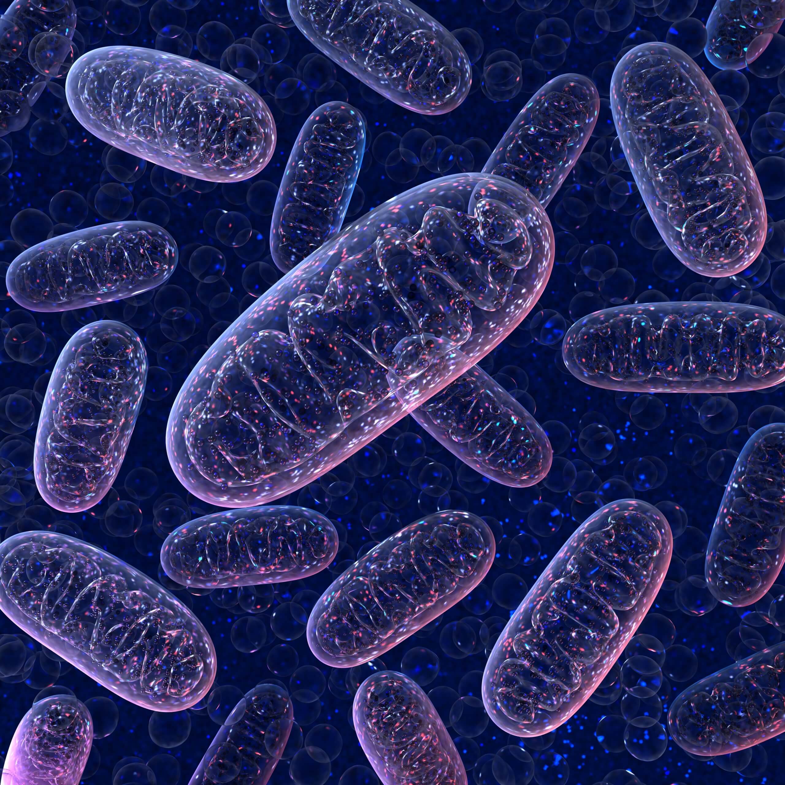 Mitochondria medycyna mitochondrialna
